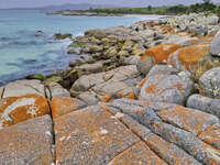 20241004145458_Rocky_Shoreline_at_Bay_of_Fires